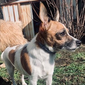 Meet your Posher, Justin